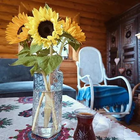 Domek Nad Chmurami Slotwina 80m2 Holiday home Godziszka
